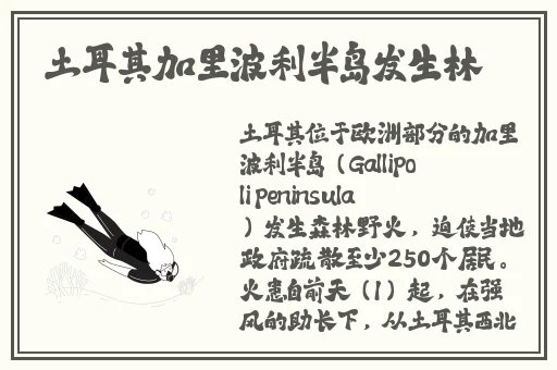 梦心月无圣光图